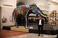 VBS_0908 - Riapre il Museo di Scienze Naturali dopo dieci anni di chiusura